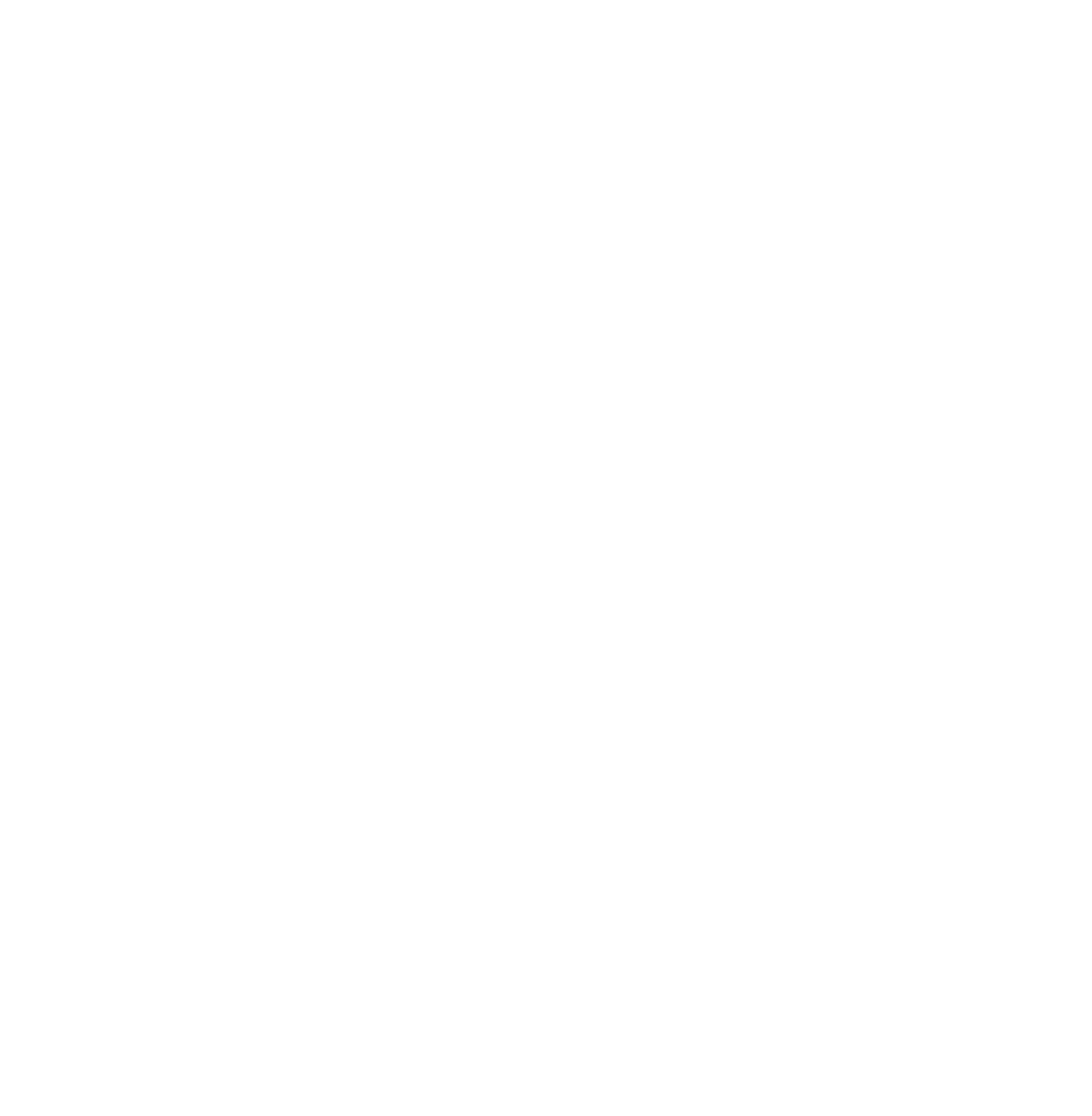 X���S
